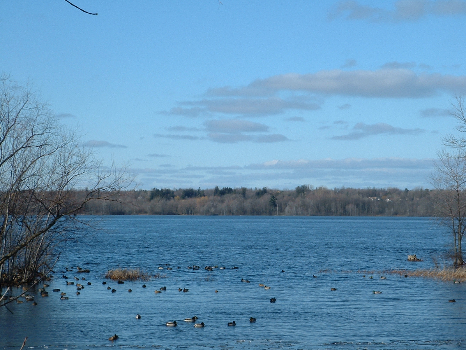 Across the river
