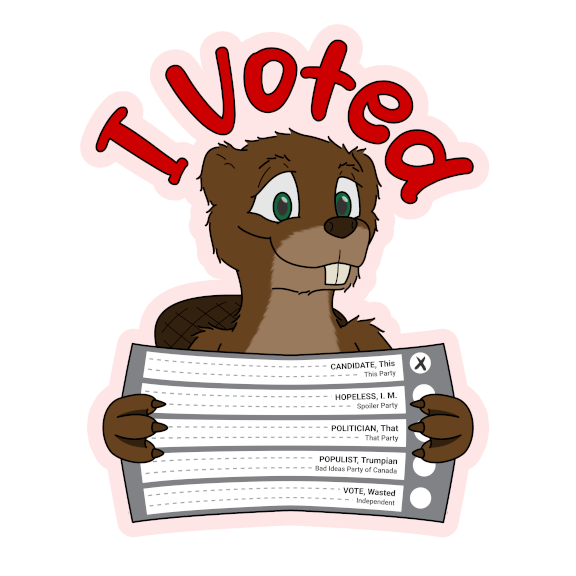 Did you remember to vote?