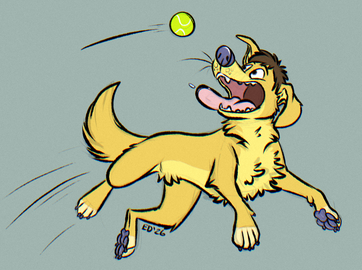 Fetch! by EdBCollie