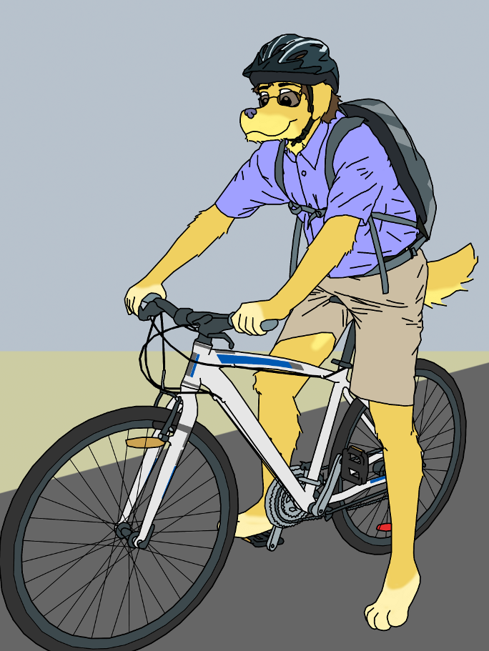 Niner's New Bike
