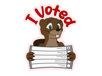Did you remember to vote?