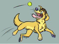 Fetch! by EdBCollie