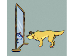 Odd Reflection by EdBCollie